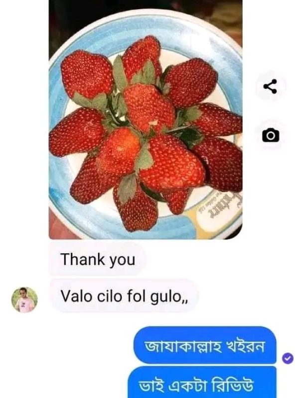 Fruits Review (11)