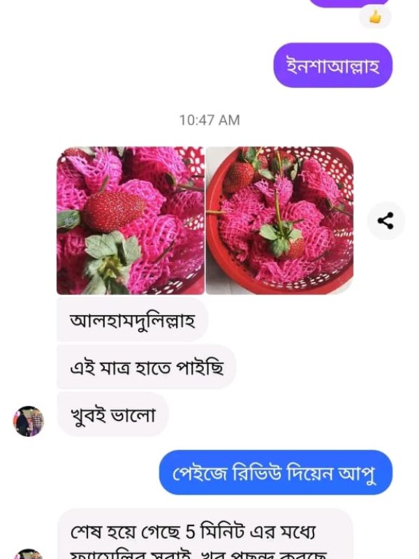 Fruits Review (13)