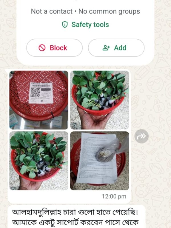 Fruits Review (14)