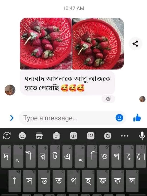 Fruits Review (15)