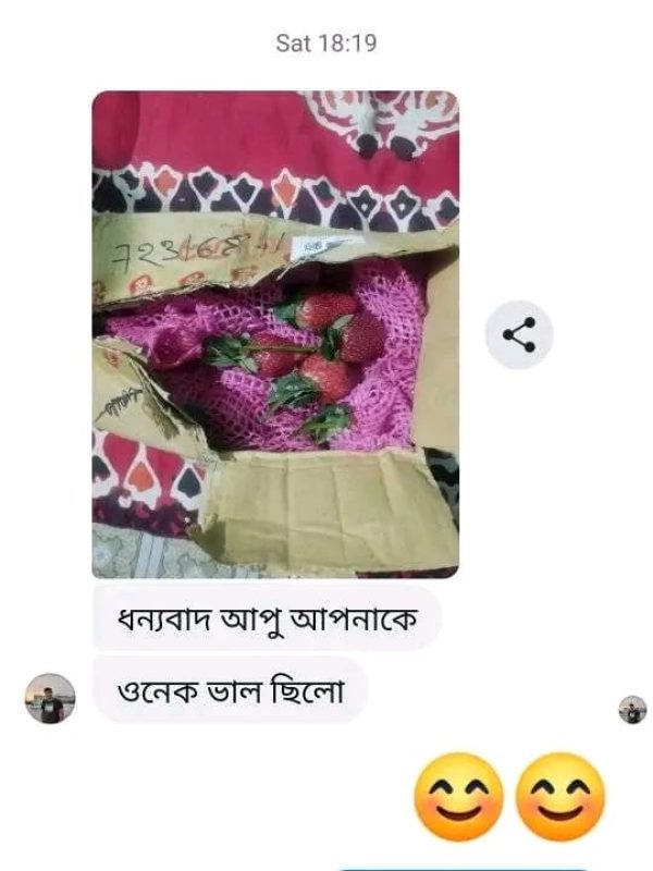 Fruits Review (17)