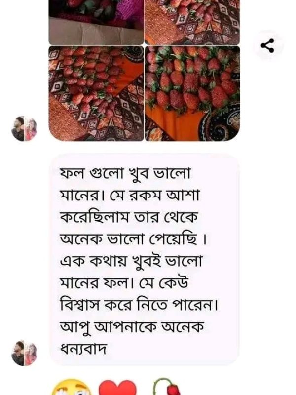 Fruits Review (18)