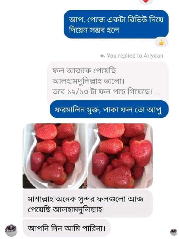 Fruits Review (2)