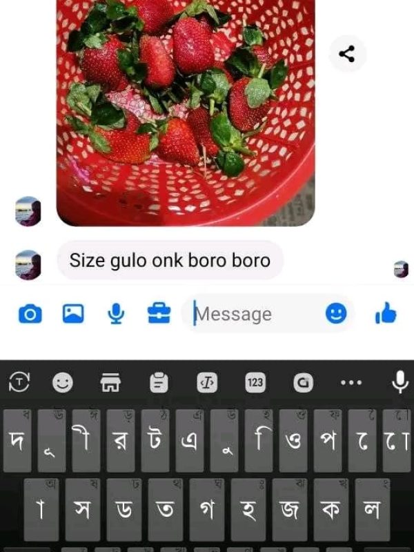 Fruits Review (21)