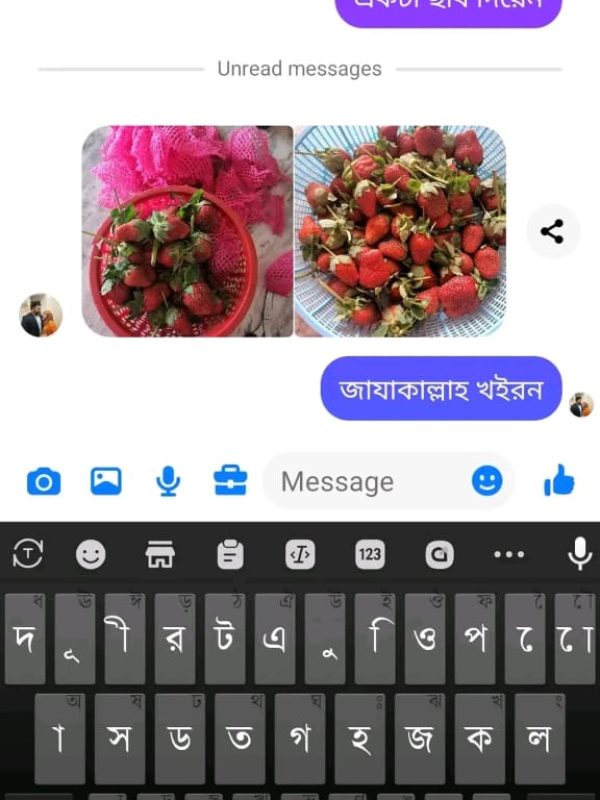 Fruits Review (4)