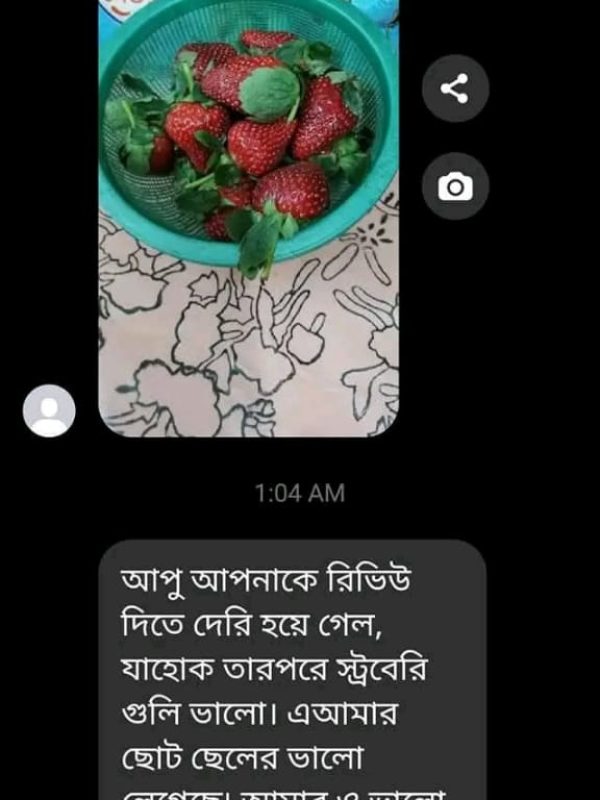 Fruits Review (6)