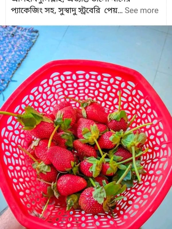 Fruits Review (8)