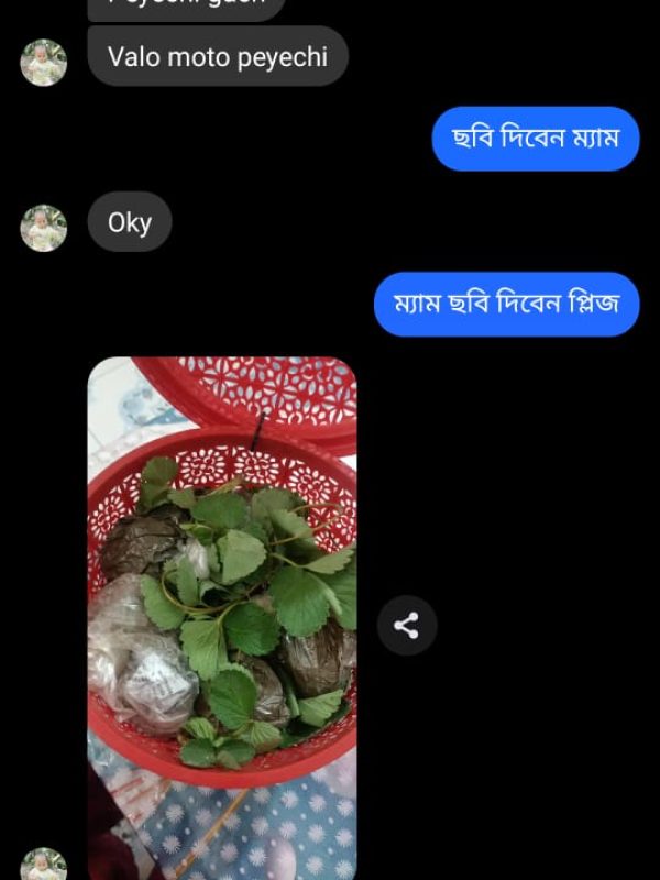 Plant -review (11)
