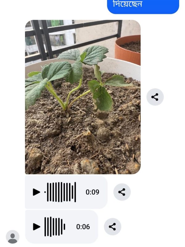 Plant -review (5)