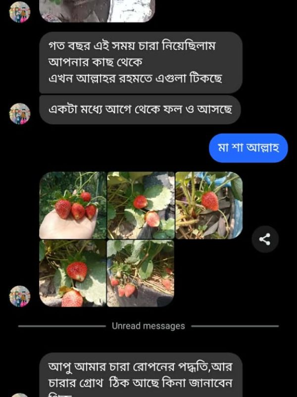 Plant -review (6)