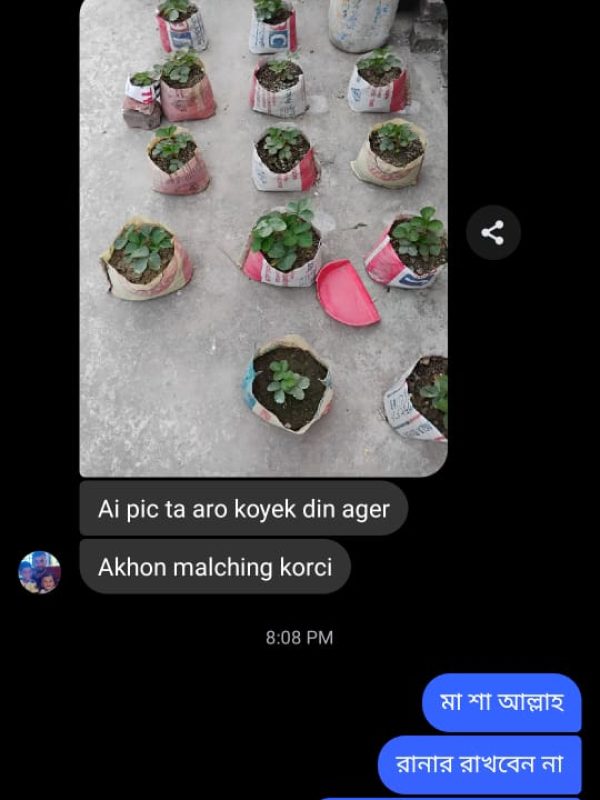 Plant -review (9)